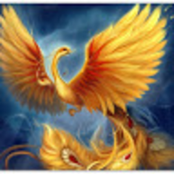 phoenix_gray